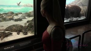 You take Paris the the Natural History Museum