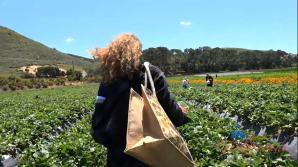 Selina Imai Farm Date Part 1